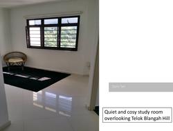 Blk 112B Depot Road (Bukit Merah), HDB 5 Rooms #110926812